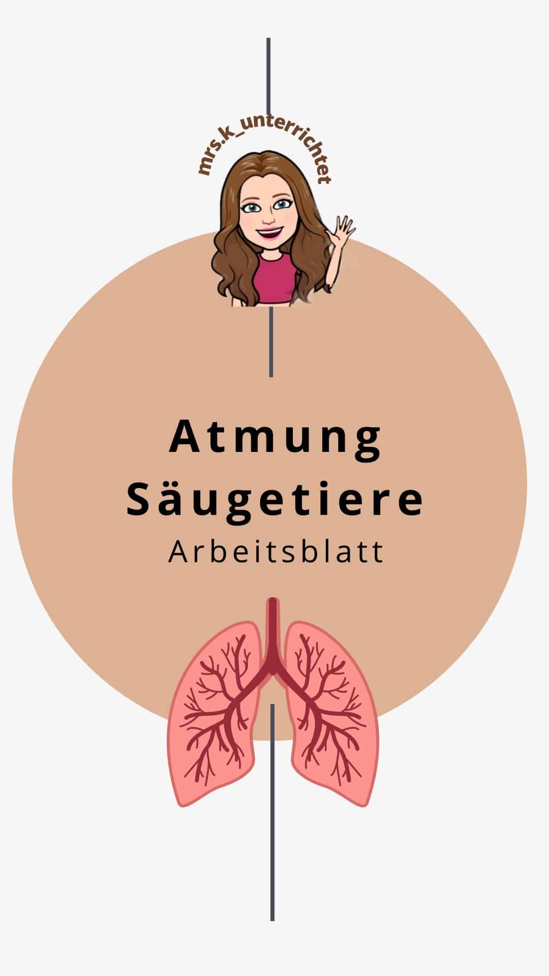 Arbeitsblatt Atmung (Säugetiere)