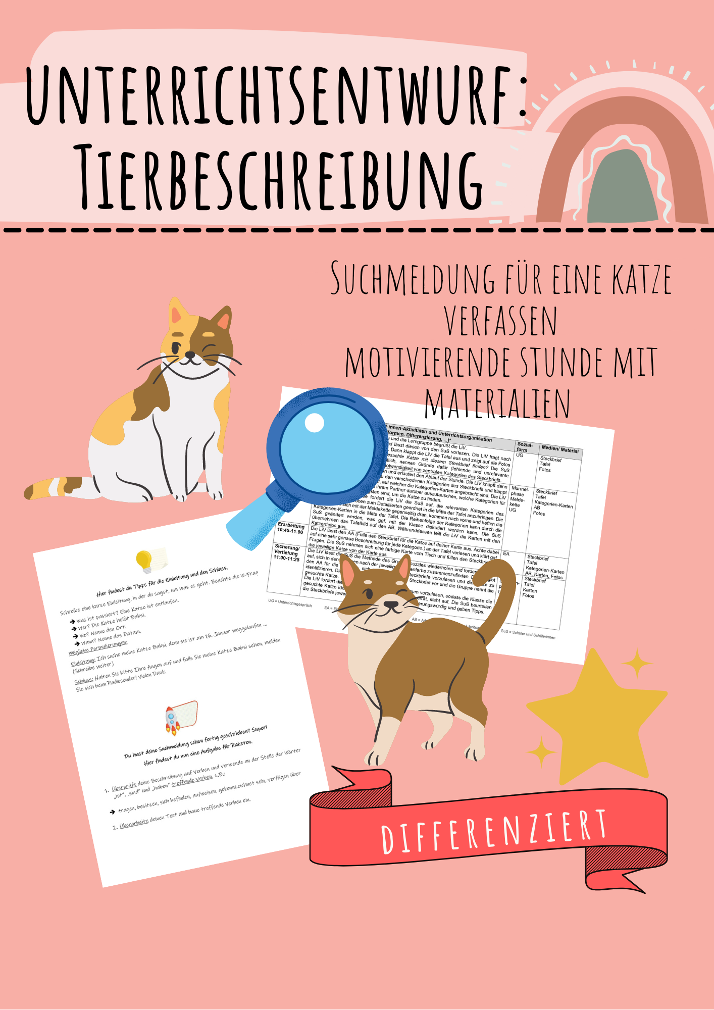 Unterrichtsentwurf Tierbeschreibung: Katze - Suchmeldung verfassen