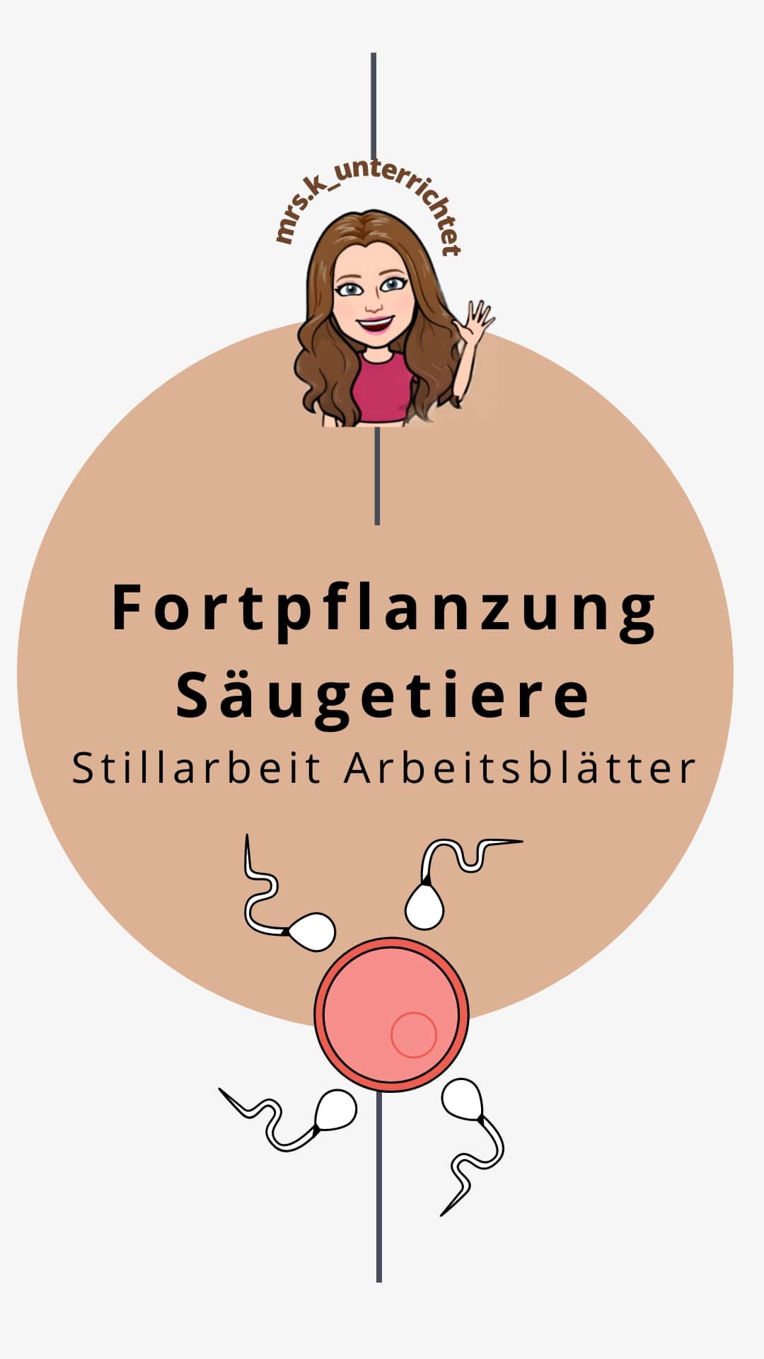 Arbeitsblätter Stillarbeit Säugetiere Fortpflanzung