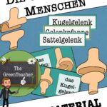 Tafelmaterial Gelenke - Abbildungen und Wortkarten