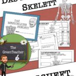 Übungsheft Skelett - Texte, Aufgaben &amp; Versuche