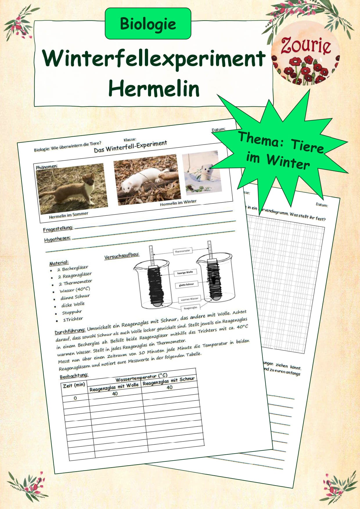 Winterfellexperiment Hermelin