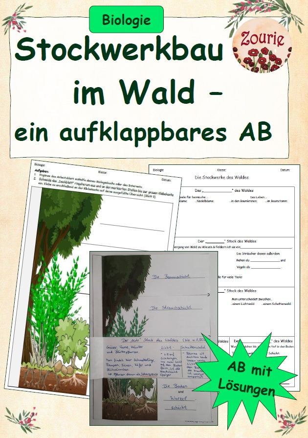 AB Stockwerkbau des Waldes differenziert &amp; aufklappbar