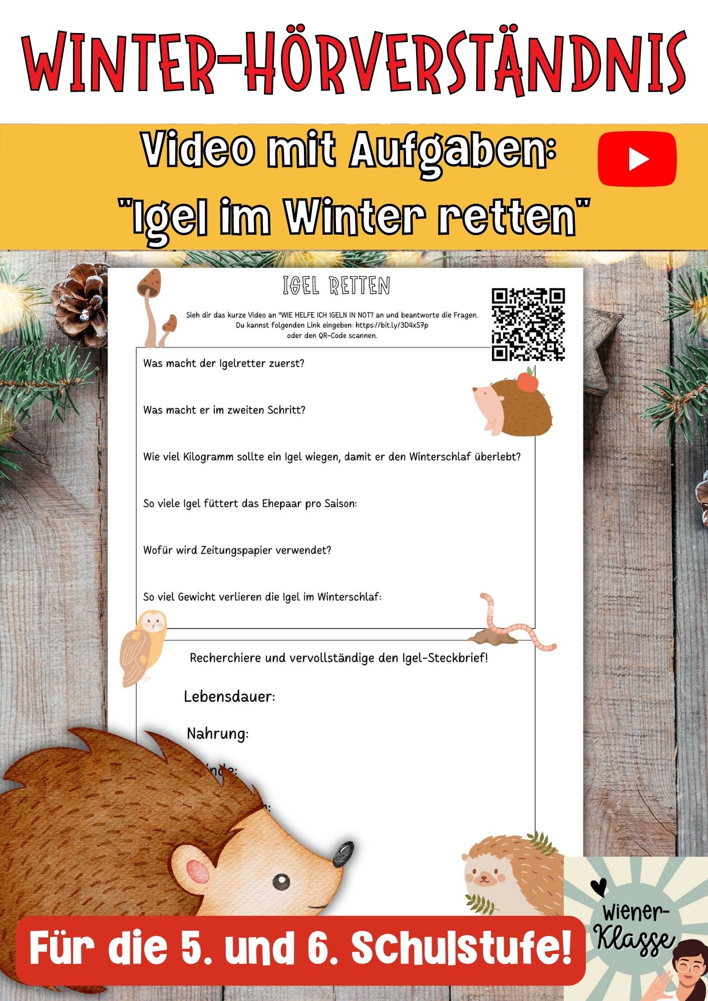 Winterliches Hörverstehen: Igel retten + Aufgaben