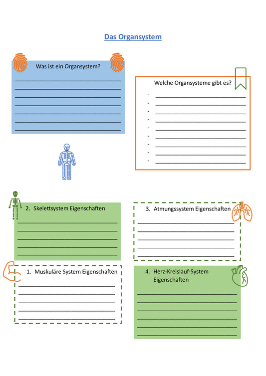 10 Sachtexte zum Organsystem des menschlichen Körpers + jeweils ein passendes Arbeitsblatt incl. Lösungen