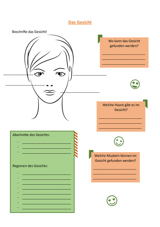 5 Sachtexte zum Thema "Gesicht" + jeweils passende Arbeitsblätter incl. Lösungen