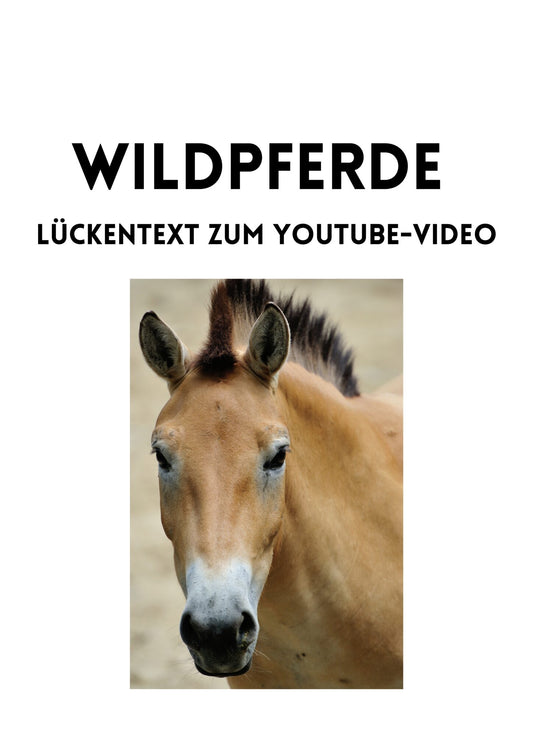 Wildpferde Arbeitsblatt